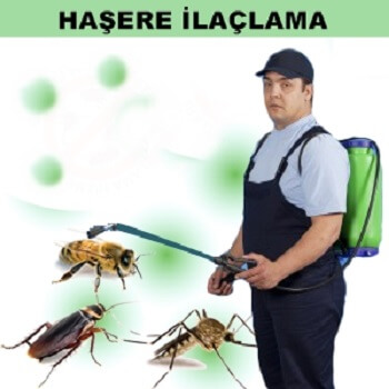 Başyayla Böcek İlaçlama